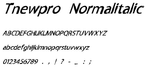 TNEWPRO NormalItalic font